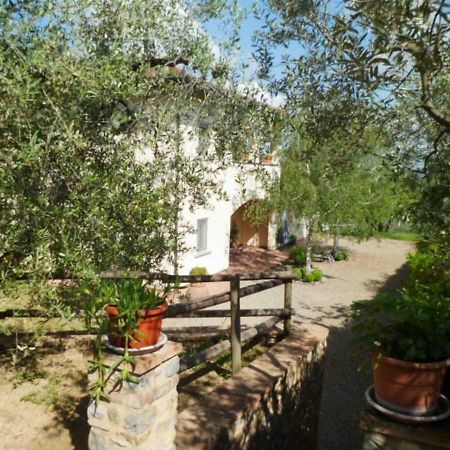 Гостевой дом Casa Le Betulle Монтеспертоли Экстерьер фото